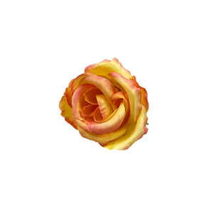 Têtes de fleurs de rose en soie de 3,5 cm de diamètre pour accessoires de photographie de mariage et décorations d'intérieur - Product Image 5