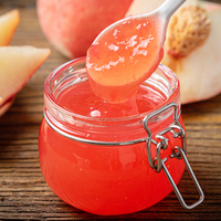 Wholesale High Quality Good Taste OEM Fruit Jam Puree Blueberry Jam Strawberry Jam for Sale