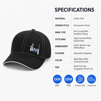 Gorra de Béisbol de 6 Paneles con Bordado Personalizado, Impresión Puff, Estilo Urbano de Lujo, Gorra de Papá con Graffiti, Sarga de Algodón, Unisex, OEM, ODM