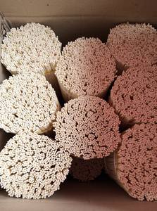 10" <b>Reed</b> <b>Diffuser</b> Sticks 3mm Thick Eco-Friendly White Natural Rattan Wood Home Fragrance <b>Bottle</b> Replacement (Kaylin +8481709209 - Product Image 4