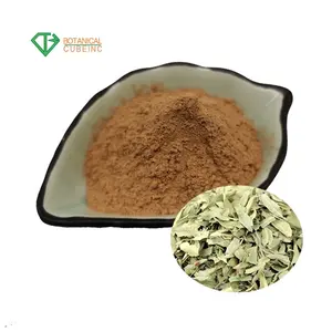 Kruidenextract Apocynum Venetum/Folium Apocyni Veneti/Dogbane Leaf Extract Poeder