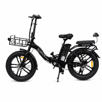 Vélo électrique pliable 36V 350W 20 pouces, vélo électrique pliable, vélo électrique tout-terrain, vélo électrique pour trajets quotidiens