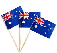 Drapeau porte-drapeau en bambou personnalisé pour cocktail, en polyester, avec drapeau argentin, pour décoration de bar et de fête, idéal pour la restauration saine