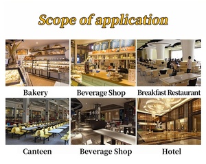 Impastatrice Elettrica Industriale di Alta Qualità, Impastatrice a Spirale per Pane, Alimentazione Elettrica per Mulino, per <span class=keywords><strong>Farina</strong></span>, Latte, <span class=keywords><strong>Acqua</strong></span> - Product Image 6