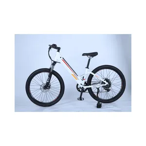 Step through woman EMTB bicycle city 26 inch hidden battery electric mountain bike