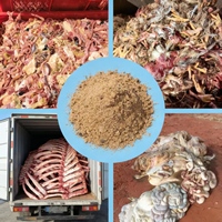 Machine de traitement des déchets animaux CMJ-1 1.0 T/lot certifiée SGS avec connexion biofiltre sans odeur pour élevages avicoles à grande échelle