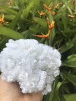 Haute qualité Polyester tridimensionnel creux siliconé 7D * 64mm HCS fibre discontinue pour animaux de compagnie 15D * 64MM Hcs