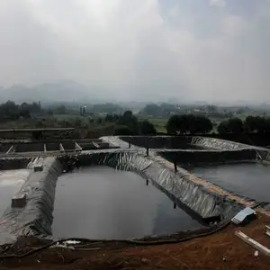 High Quality Earthwork Products HDPE Geomembrane Fish Pond Liner Geomembranes For Aquaculture