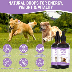 Dukungan kekebalan tubuh anjing tetesan chicweed & Gymnema suplemen gizi dengan dukungan metabolisme energi Organik Mineral - Product Image 5