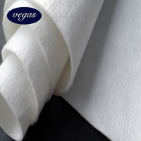 Géotextile en polyester non tissé à fibres courtes PET 100-800 g/m² à bas prix pour le renforcement des talus de sol