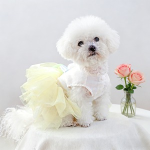 Jupe de Pâques pour chiens et chats, robe en tulle avec motif brodé, tenue mignonne pour animaux de compagnie, à porter en quatre saisons - Product Image 4