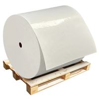 Rouleau jumbo de papier auto-adhésif BOPP, rouleau auto-adhésif transparent en polypropylène, étiquette PP blanche, étiquette argentée brillante, matière première