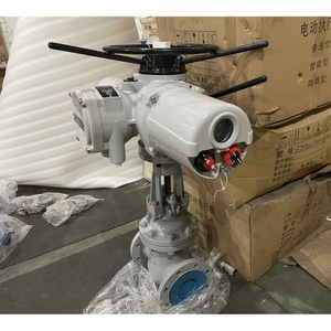 Actuador Eléctrico Autocore IK18 24RW para Montaje en Chasis, Automatización Industrial - Product Image 1