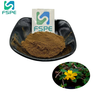 ผงสารสกัดจากพืช10:1จากใบ <span class=keywords><strong>Damiana</strong></span> ผง Diffusa จากพืชธรรมชาติ - Product Image 1