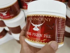 Granuli Norvka per Piccioni Giovani, 300 Pezzi, Supporto Immunitario, Vitamine e Minerali, Senza Cereali, Cura della Salute per Piccioni e Uccelli Giovani - Product Image 3