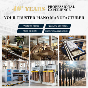 Piano numérique professionnel haut de gamme à 88 touches lestées avec mécanique à marteaux, personnalisable en usine - Product Image 4