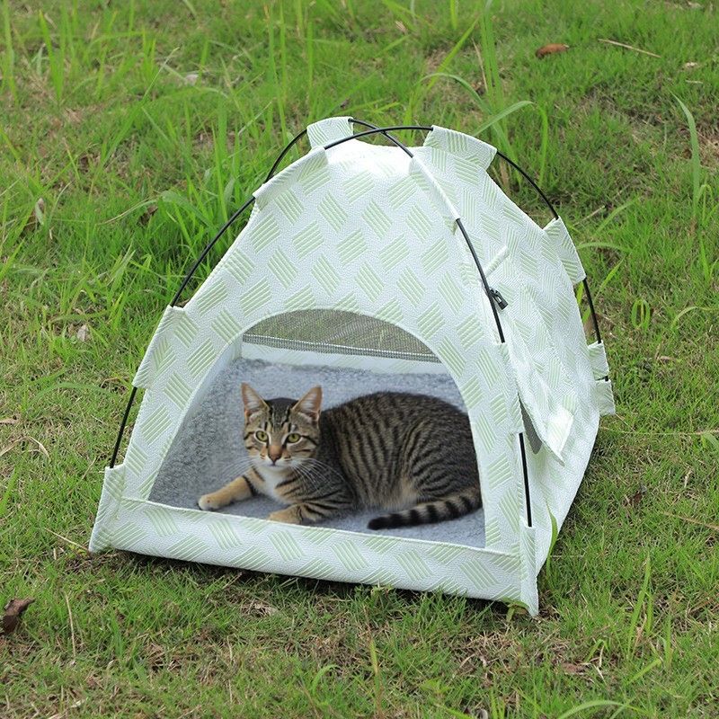 สีเขียว