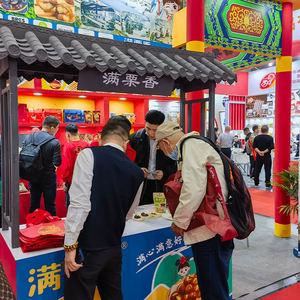 Noix de châtaignes congelées courantes, en grains, emballées individuellement, nouvelle importation, type de traitement torréfié, prêtes à consommer, qualité A, marque Baifeng - Product Image 4