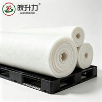 Géotextile à filament continu WSL 320g pour le drainage et la filtration des sous-drainages ferroviaires et le traitement des sols molles des autoroutes