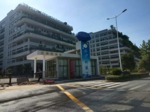 Escultura Pública de Acero Inoxidable para Jardín, Moderna, Decorativa, de <span class=keywords><strong>Gran</strong></span> Tamaño, con Forma de Diamante, para Parques al Aire Libre - Product Image 2