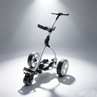 Voiturette de golf électrique et télécommandée, vitesse 8,0 km/h, pour la vente en magasin de golf, batterie acide ou batterie lithium en option