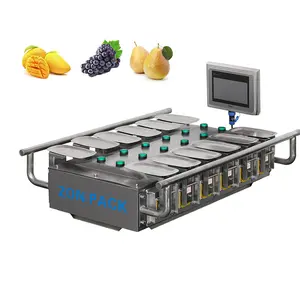 Máquina de pesagem manual semiautomática, balança combinada multihead para frutas vegetais