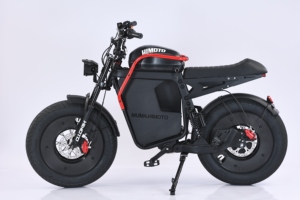Bicicleta FEIWO Himoto MUMA, Nuevo Modelo con Llantas Gruesas de 20 Pulgadas, Aluminio, Batería de Litio de 15Ah/20Ah para Adultos, Bicicleta Estadounidense Himoto - Product Image 1
