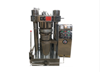 Nieuwe DINGSHEGN Koolstofstaal Automatische Koud-Warm Pers Oliepersmachine Olijfolie Theezaadolie Industrieel Gebruik 50kg/u