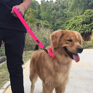 <span class=keywords><strong>Collar</strong></span> de perro ajustable sin estrangulamiento Martingale de nailon y poliéster para entrenamiento, viene con varios colores - Product Image 3