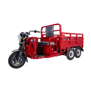 60V 1000W ağır 5 tekerlekli kargo yetişkin motosiklet elektrikli elektrikli üç teker bisikletler