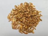 Gammarus séchés Nourriture sèche pour poissons de compagnie