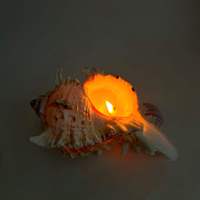 Bougie parfumée artisanale en cire de soja, coquillage décoratif, cadeau de décoration intérieure, luxe, créative, parfum d'ambiance, aromathérapie