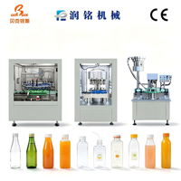 Ligne de remplissage entièrement automatique pour bouteilles en verre et en plastique avec contrôle PLC pour jus de fraise et de sureau
