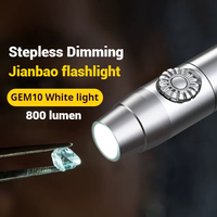 Lampe torche UV portable spécialisée en alliage d'aluminium, étanche IP68, 800 lumens, rechargeable par USB-C, faisceau spot, ampoule LED