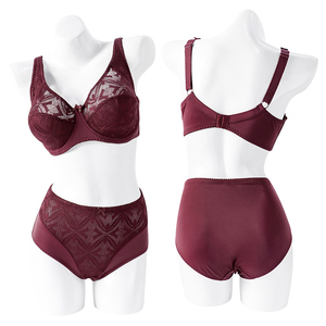 Beijizhi — ensemble de lingerie en Nylon et dentelle pour femmes, culotte de haute qualité, soutien-gorge et slip à armatures - Product Image 2