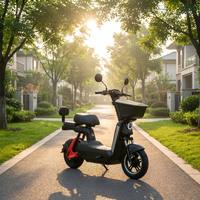 Motos électriques City Legal Cruiser 800W 60V 45km/h 50km d'autonomie, E-moto pour trajets quotidiens en ville
