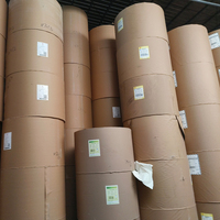 High Quality PE/PLA Coated Paperboard in Roll Wholesale Beverage Use Cup Paper for Coffee Tea Beer Other Beverages