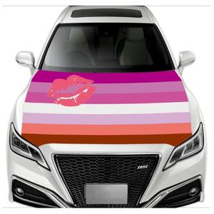 Housse de capot de voiture de haute qualité, élastique, résistante aux intempéries, lavable, pour la fierté <span class=keywords><strong>gay</strong></span> et lesbienne, pour la décoration - Product Image 5
