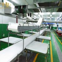 Otomatik Paketleme ve Gıda İşleme Hatlarında Sürekli Ürün Transferi için Yer Tasarruflu Çok Katmanlı Konveyör Sistemi