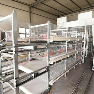 Solutions personnalisées d'élevage de poulets de chair : Équipement de cages en batterie pour poulets de chair, <span class=keywords><strong>type</strong></span> H, avec mangeoire et abreuvoir automatiques à 3 niveaux, pour 50 000 poulets - Product Image 2