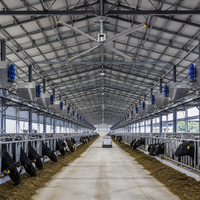 Structure en acier galvanisé à chaud professionnelle pour l'élevage de volailles, conception de poulailler pour poulets de chair, bâtiment préfabriqué anti-corrosion