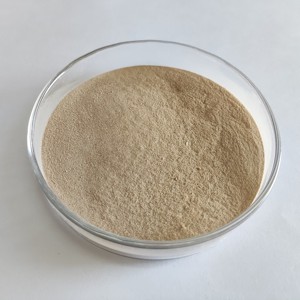 <span class=keywords><strong>Habio</strong></span> Proteasa Neutra en Polvo 300.000U/g Enzima Proteolítica Neutra de Alta Eficiencia - Product Image 2