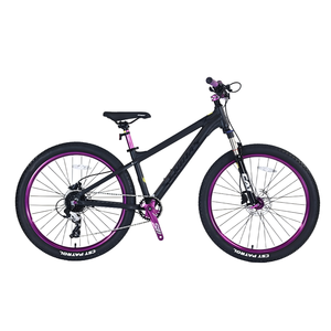 Bicicletta BMX Free Style Senidas in Lega da 26/27.5/29 Pollici <span class=keywords><strong>con</strong></span> Cambio a Otto Velocità e Sistema Frenante a Disco per Street Riding e Dirt Jumping - Product Image 4