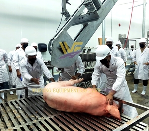 Lò mổ Thiết bị dây chuyền sản xuất thiết bị Lò mổ nhỏ cho máy giết mổ thịt lợn Máy chế biến lợn - Product Image 1