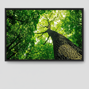 Elegant Boho Decor: Printed <b>Canvas</b> Wall Art for Modern Spaces,BLACK <b>FRAMED</b> <b>CANVAS</b> - Product Image 2