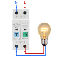 Disjoncteur intelligent Wi-Fi AC Smart Life Mini en cuivre, protection contre les surtensions et les fuites de courant, mesure prépayée, temporisation L2 2P LN 63A