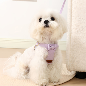 Elegante e Graziosa <span class=keywords><strong>Pettorina</strong></span> per Animali Domestici in Morbido Nylon Scamosciato con Fiocco Decorativo, Delicata sulla Pelle, per Uso Quotidiano, Riposo in Casa o Passeggiate <span class=keywords><strong>Casual</strong></span> nel Quartiere - Product Image 5