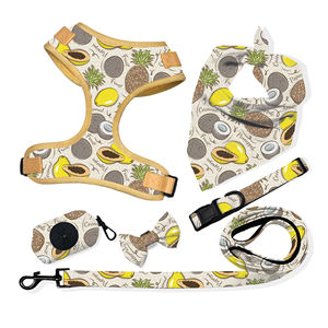 Conjunto de arnés de neopreno Reversible para perro, conjunto de arnés para perro con correa a juego, Collar, bolsa para caca, personalizado, venta al por mayor - Product Image 2