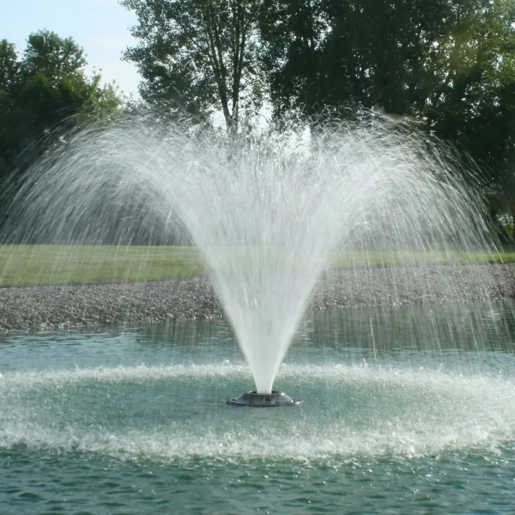 Programmierte Steuerung Wunderbare verschiedene Arten Edelstahl Teich schwimmender Brunnen in Seen gebaut
