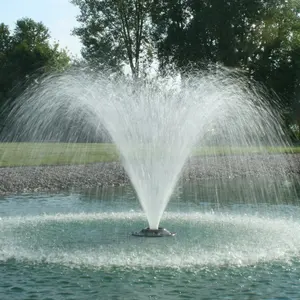 Запрограммированный контроль, чудесные разные виды, пруд из нержавеющей стали, плавающий фонтан, встроенный в Озеры
